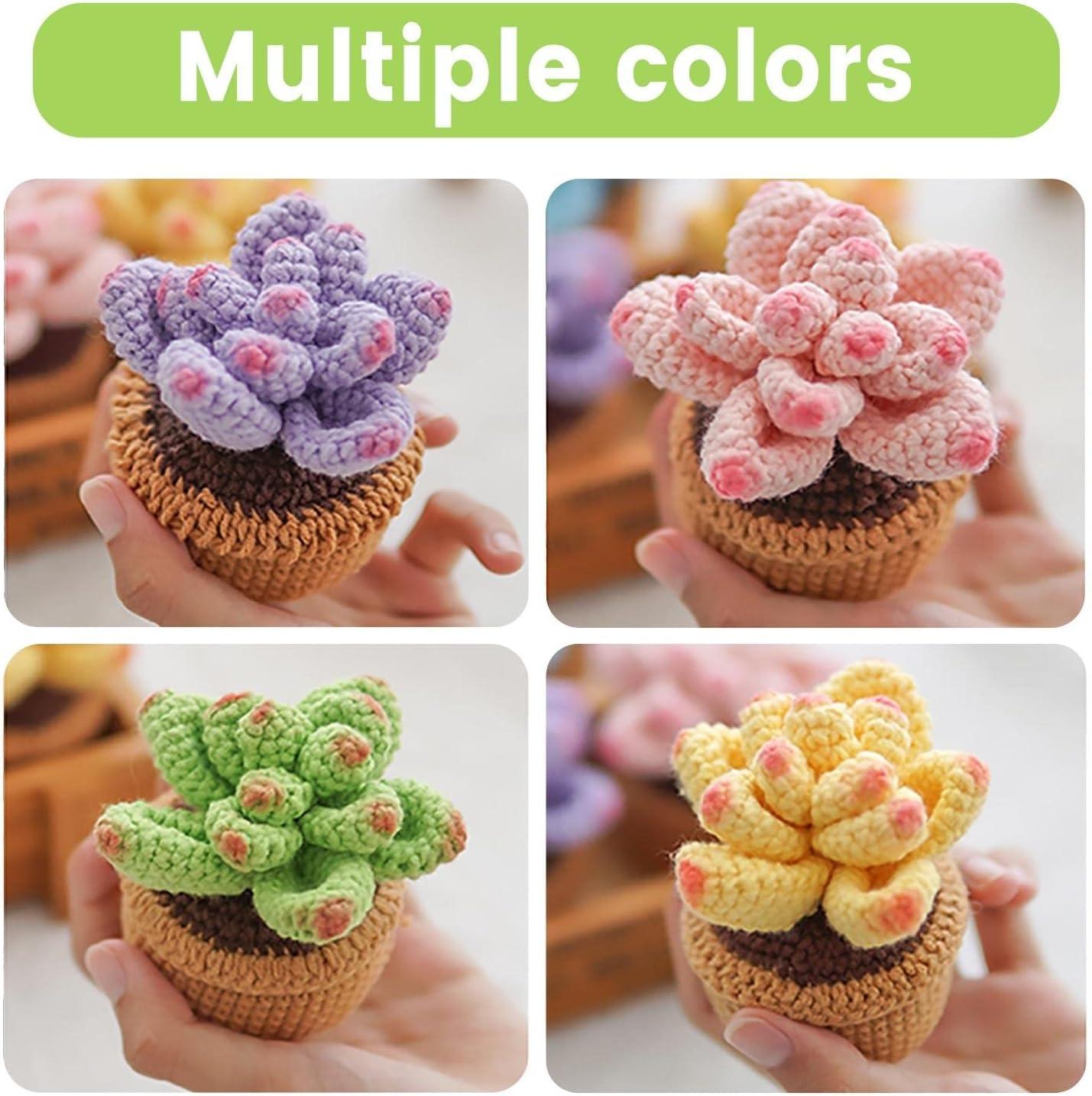  FECLOUD Crochet Knitting Kit for Beginners - 6Pcs Multicolored  Succulents, Beginner Crochet Knitting Kit Kits for Beginners Adults,  Step-by-Step Video Tutorials, Learn to Knit Kits for Adults Beginner
