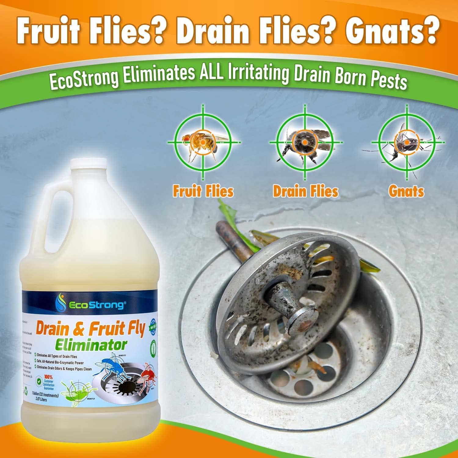 Fruit Fly Drain Treatment | Drain Fly Eliminator | All-Natural, Eliminates Gnats, Sewer Flies and More - Works in All Drains - 32 fl oz