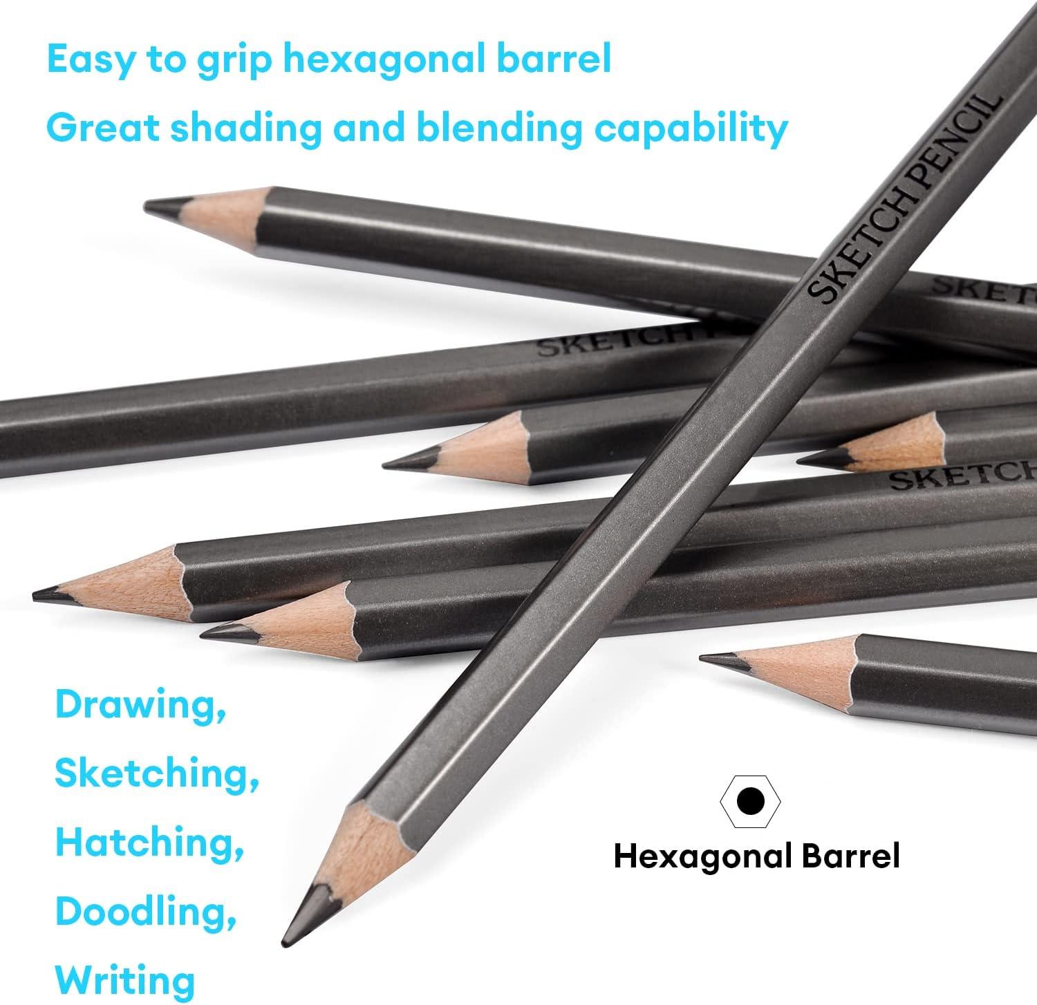 Dyvicl Professional Drawing Sketching Pencil Set - 12 Pieces Drawing  Pencils 10B, 8B, 6B, 5B, 4B, 3B, 2B, B, HB, 2H, 4H, 6H Graphite Pencils for