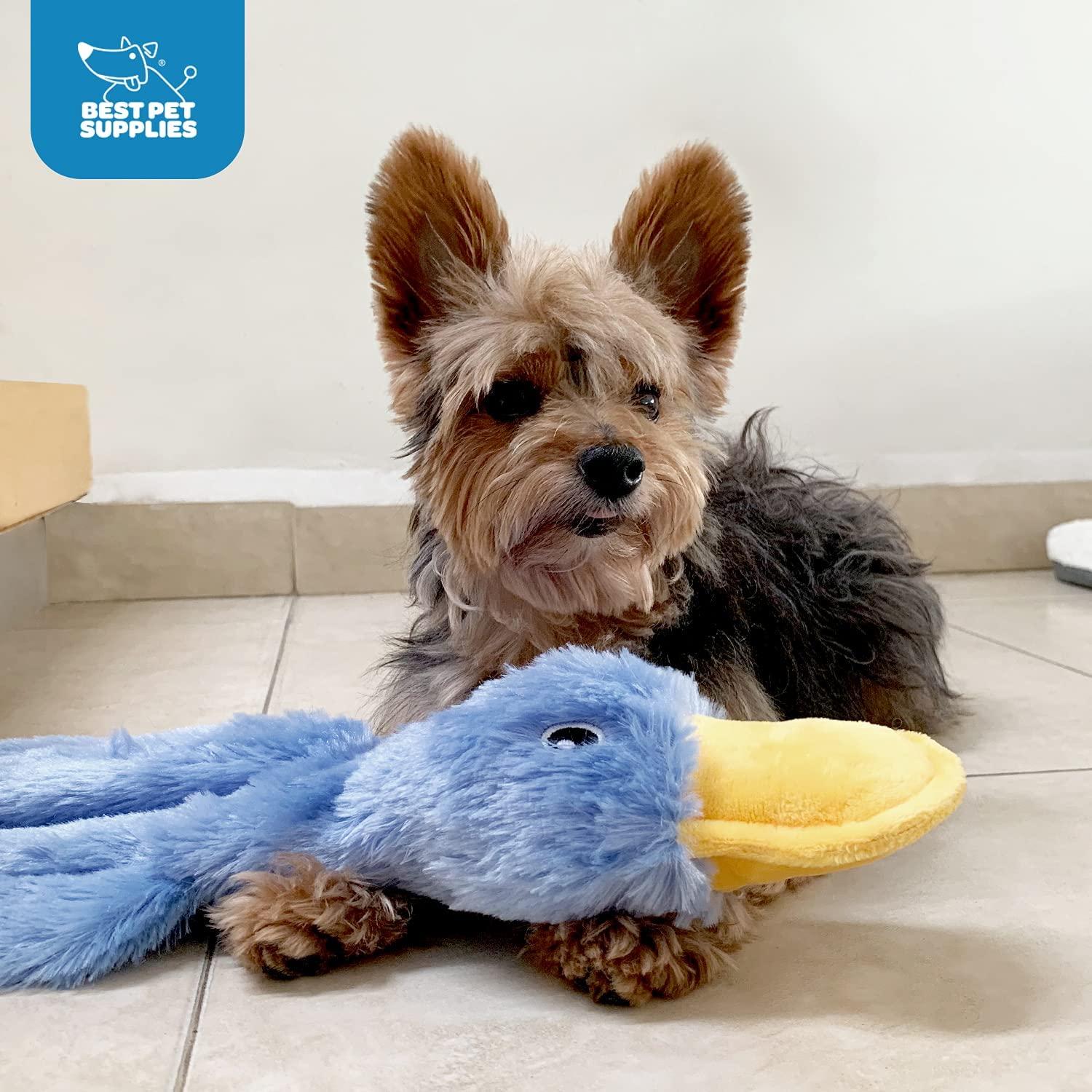 7 Best Dog Toys for Small Dog Breeds