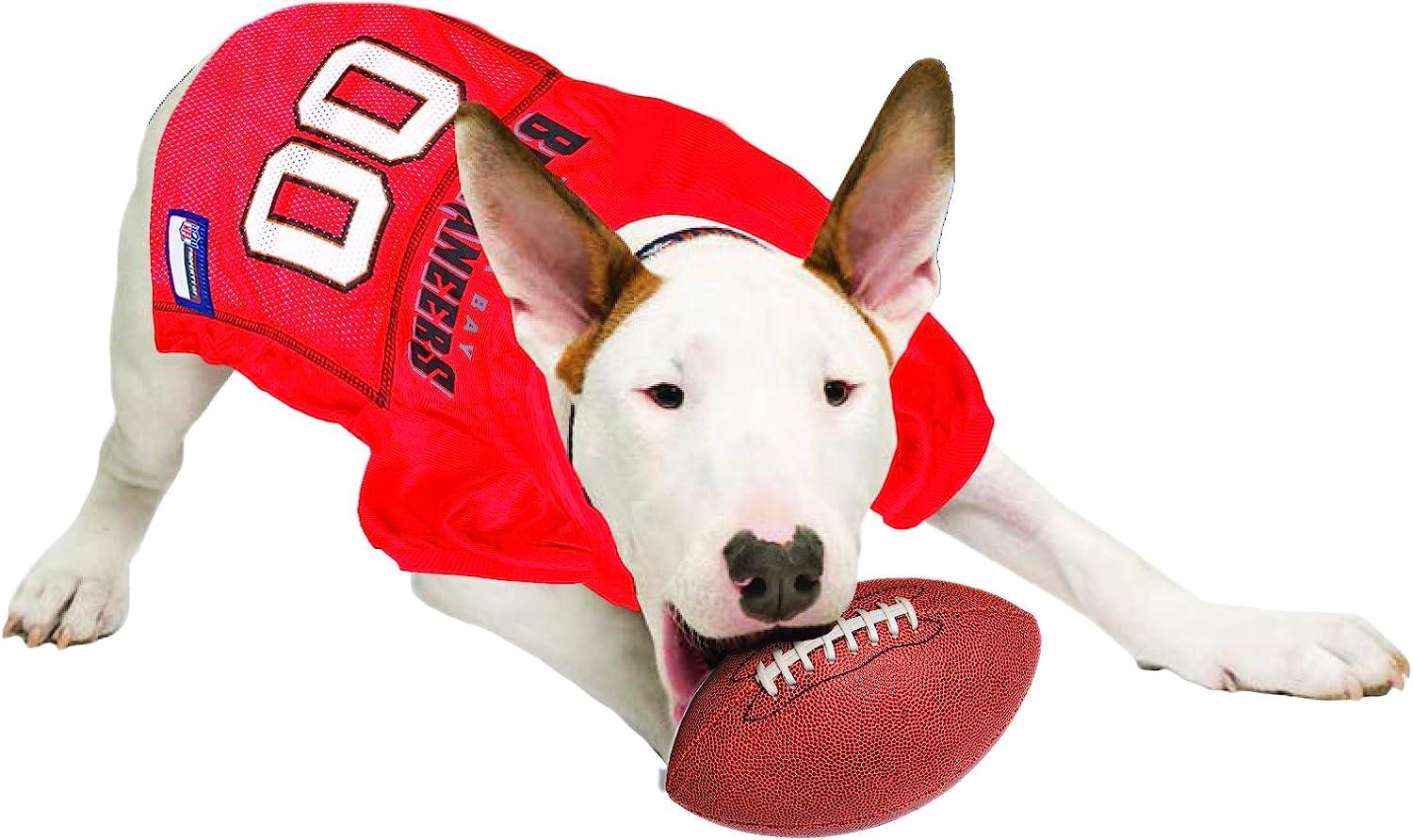 Tampa Bay Buccaneers Pet Stretch Jersey - Big Dog