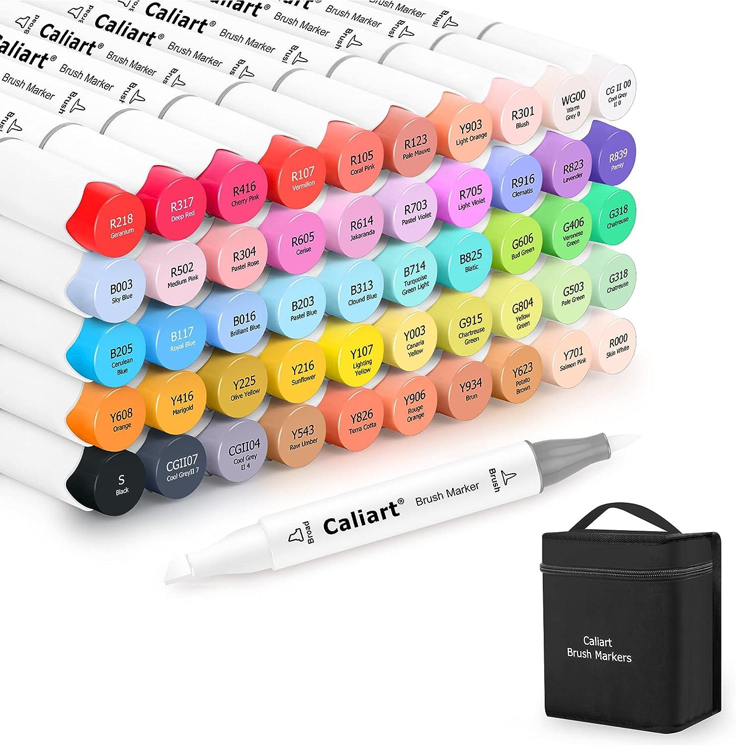 100 Colors Alcohol Markers Set, Dual Tips Blender Art Markers for Drawing  Sketching Coloring Artist Pens and Underlining, Professional Permanent