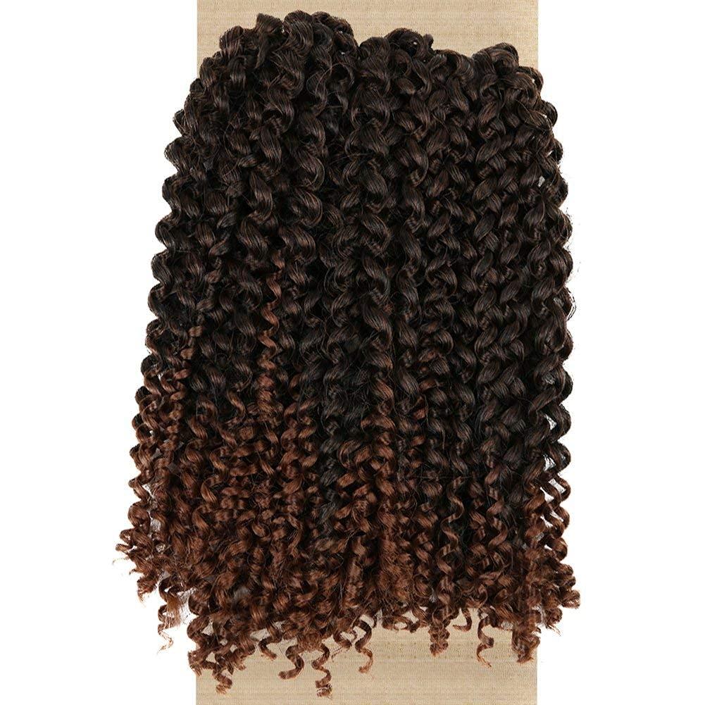 Lady Miranda Brown Color Afro kinky Curly Braiding Hair Extensions Jerry  Curl Crochet Hair 3X Braid Hair Mixed Dark Brown to Light Brown Short  Synthetic Hair Styles (Black&brown) 1B/30 10 Inch