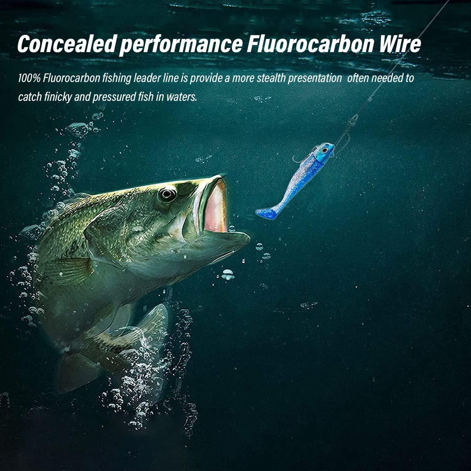  SEAOWL Fluorocarbon Fishing Leader,20LB-80LB Fluorocarbon  Leaders for Saltwater Freshwater,100% Fluorocarbon Leaders Line with  Swivels and Snap… : Sports & Outdoors