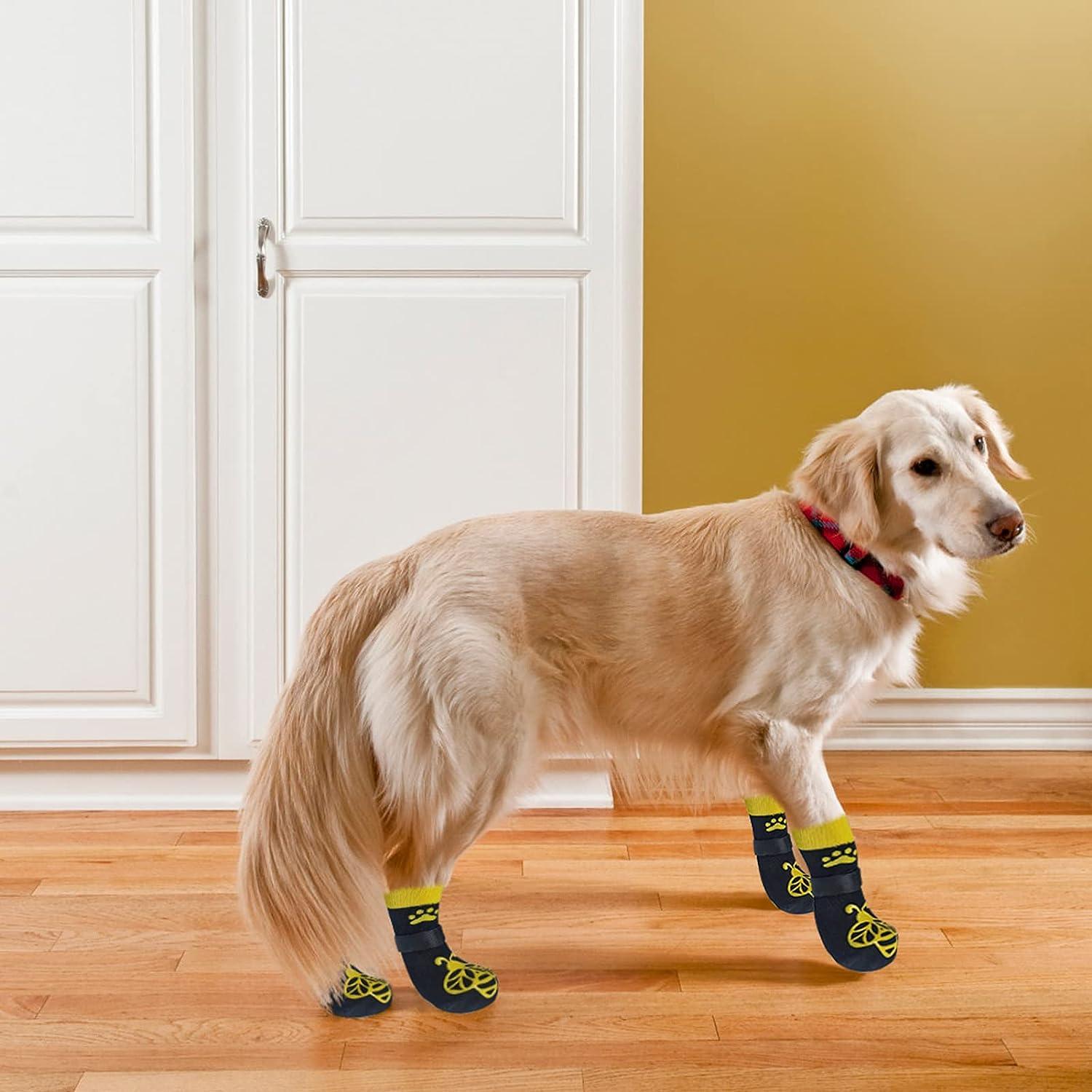 EXPAWLORER Double Side Anti-Slip Dog Socks - 3 Pairs Dog Grip Socks with  Straps Traction Control, Pet Paw Protection for Small Medium Large Dogs  Indoor Wear on Hardwood Floor Bee Small