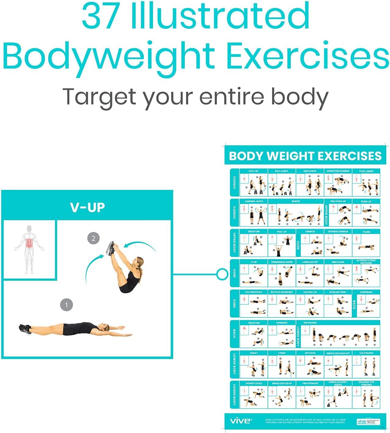Vive Workout Posters For Home Gym 52 Streching Exercises Full Body Workout  Laminated Pre Post Routines Wall Chart Bodyweight Poses Instruction