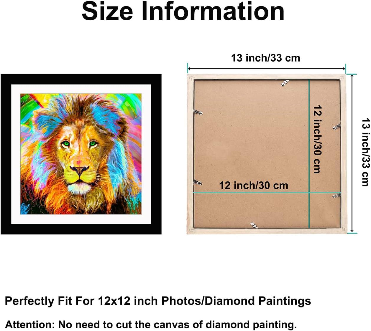 Betionol Diamond Painting Frames, Display 12x12in/30x30cm Diamond