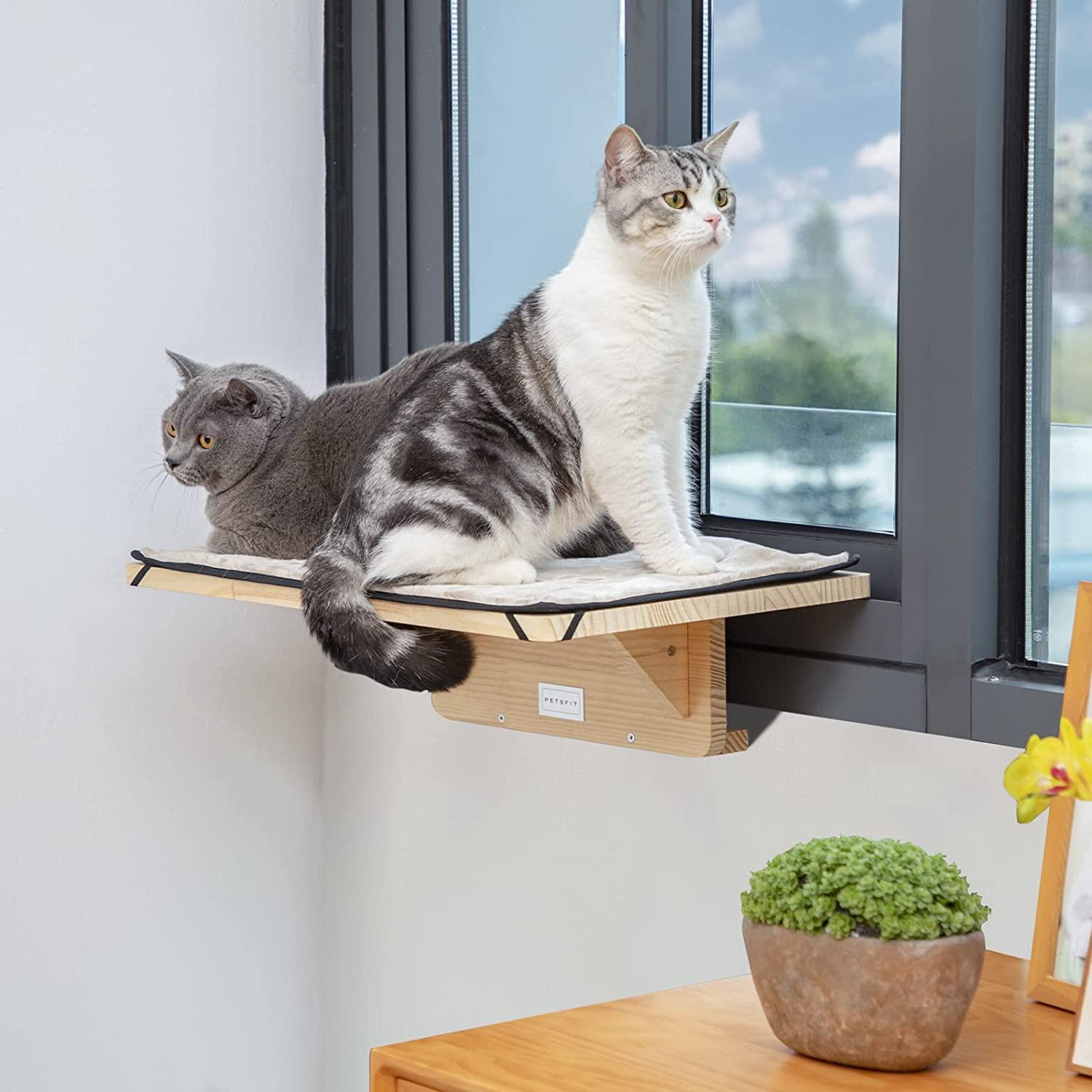 Cat Window Perch, Fit for 2 Cats, Natural Wood with Removable