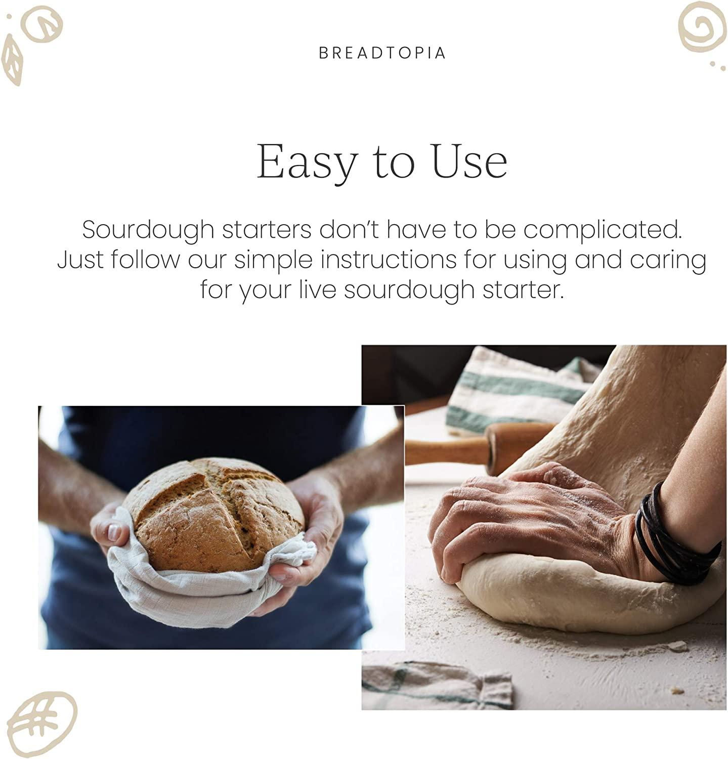 Breadtopia Bread Lame (Dough Scoring Tool)