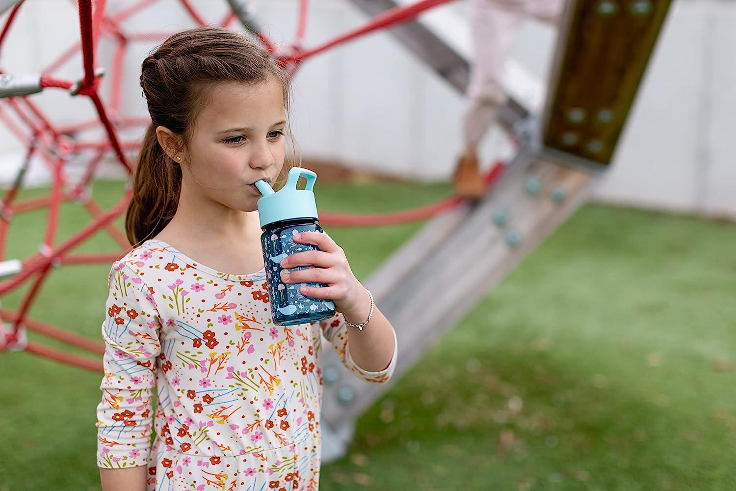 Pixar Classics 12oz Plastic Tritan Summit Kids Water Bottle With