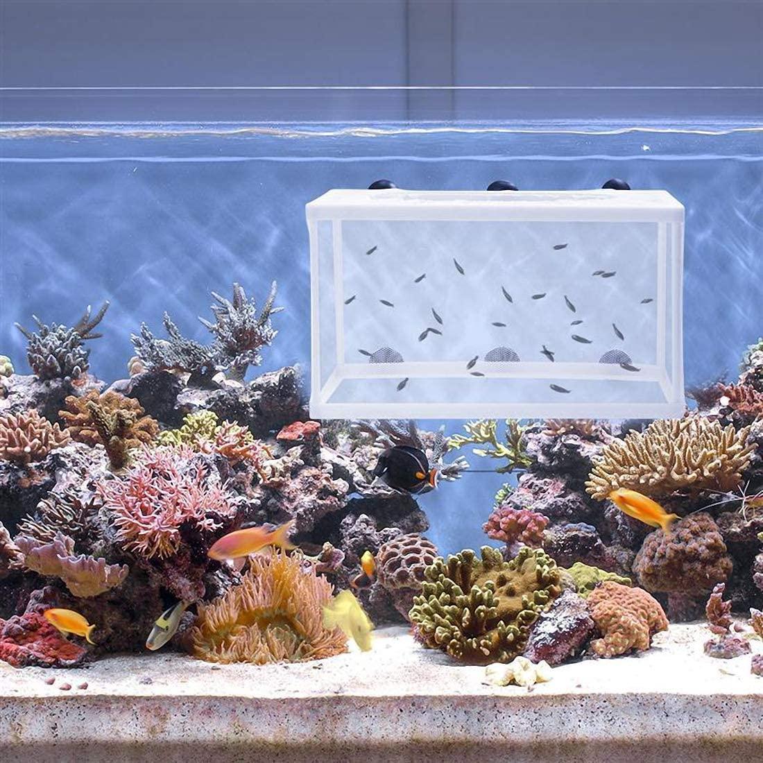 Net cover recommendations for 10-gallon tank