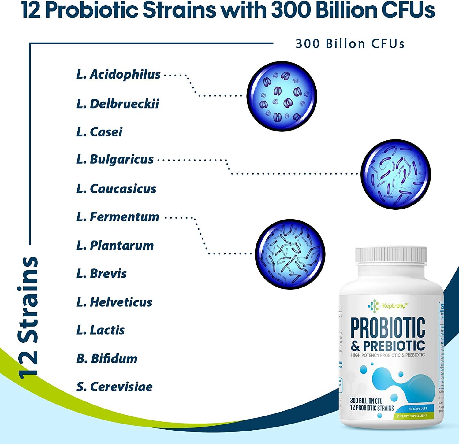 Probiotics For Women And Men 300 Billion Cfu From 12 Strains Probiotics For Digestive Health 3942