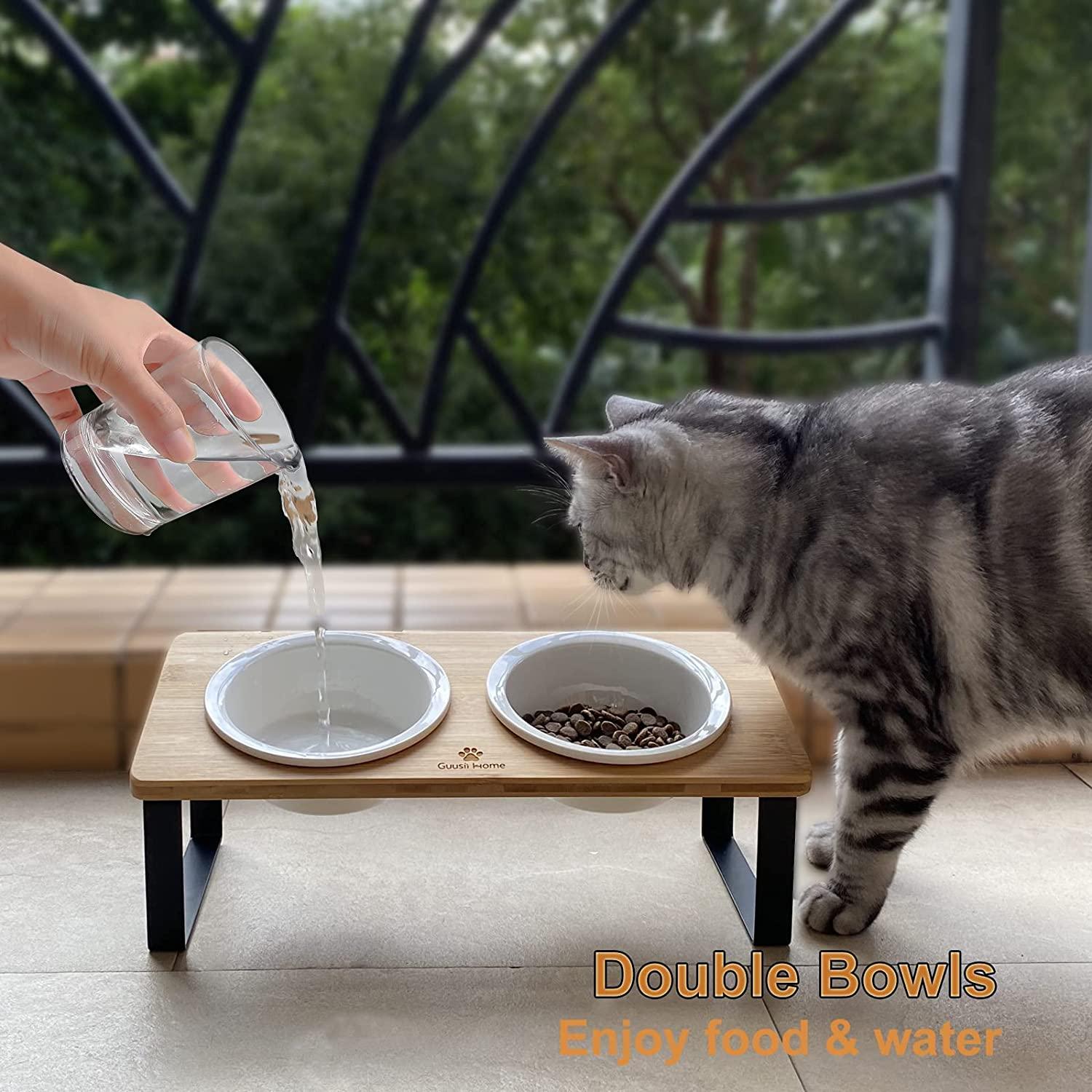 Double Cat Bowls Cat Dog Food Bowls Ergonomic Elevated Cat Feeding Bowls  2pcs