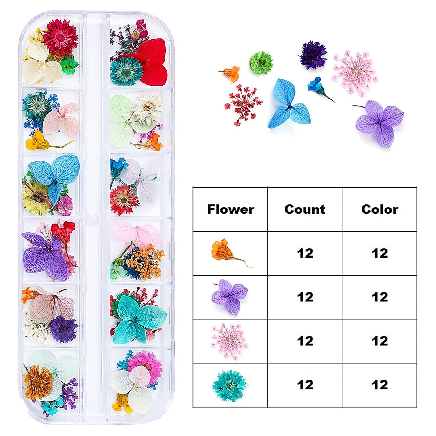 iFancer 108 Pcs Nail Dried Flowers 48 Colors 3D Nail Art Real