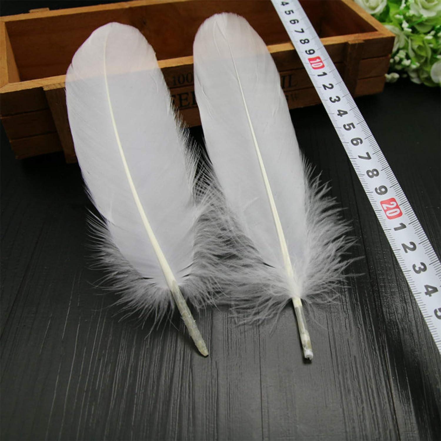 HaiMay 100 Pieces White Feathers for Craft Wedding Home Party Decorations,  6-8 Inches Goose Feathers White Craft Feathers