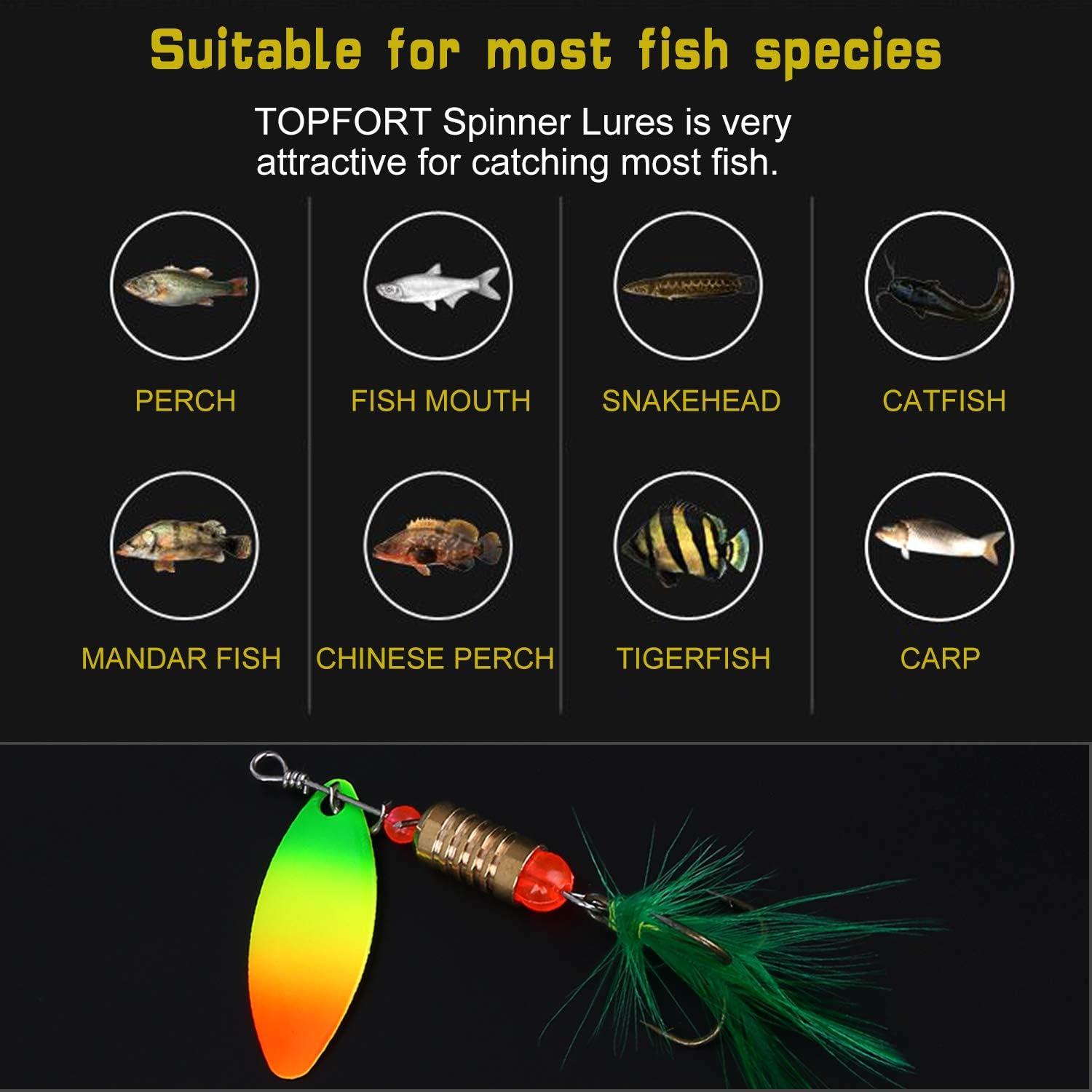 Buy TOPFORT Fishing Lures, Fishing Spoon,Trout Lures, Bass Lures