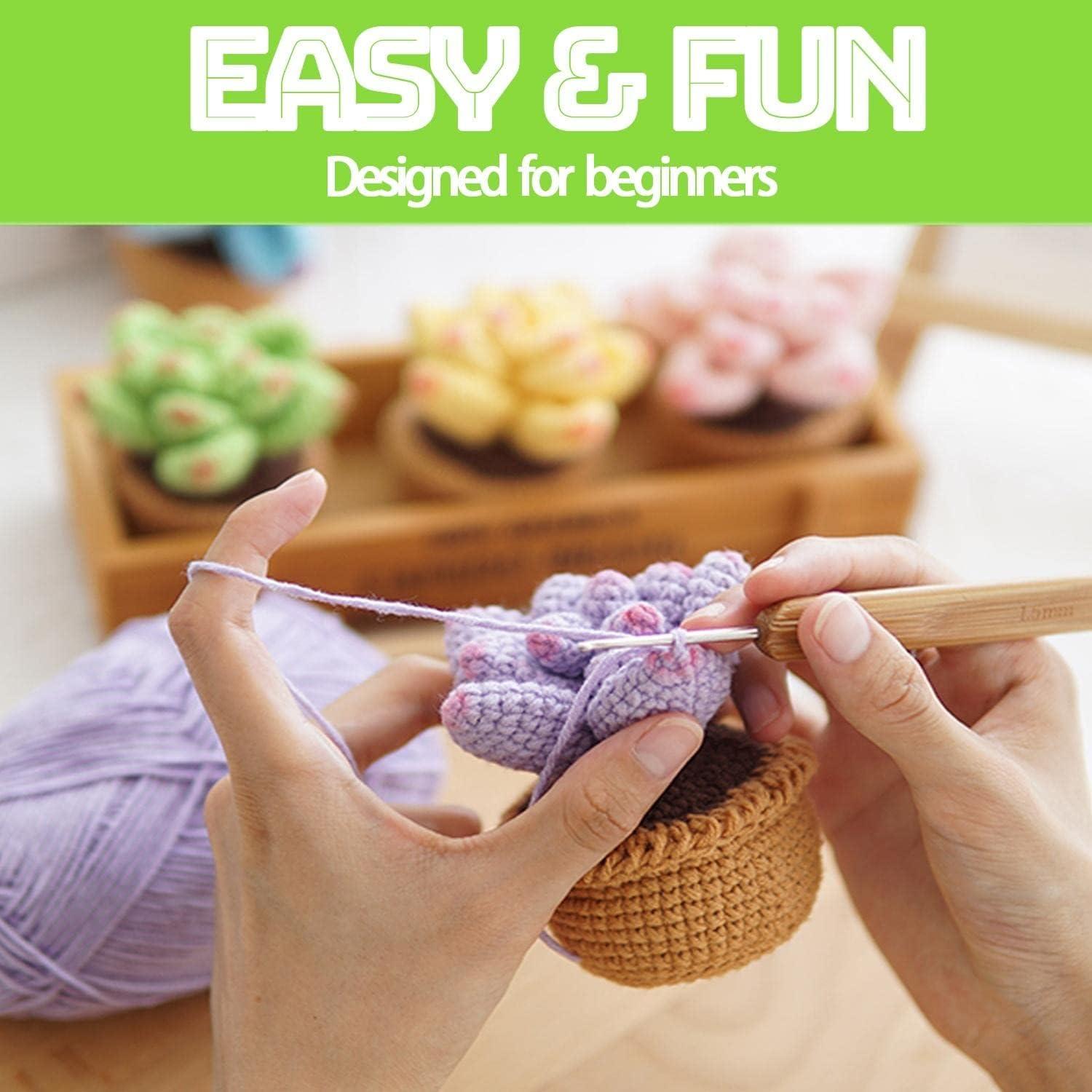 FECLOUD Crochet Knitting Kit for Beginners - 3Pcs Succulents, Beginner  Crochet Knitting Kit Kits for Beginners Adults, Step-by-Step Video  Tutorials, Learn to Knit Kits for Adults Beginner