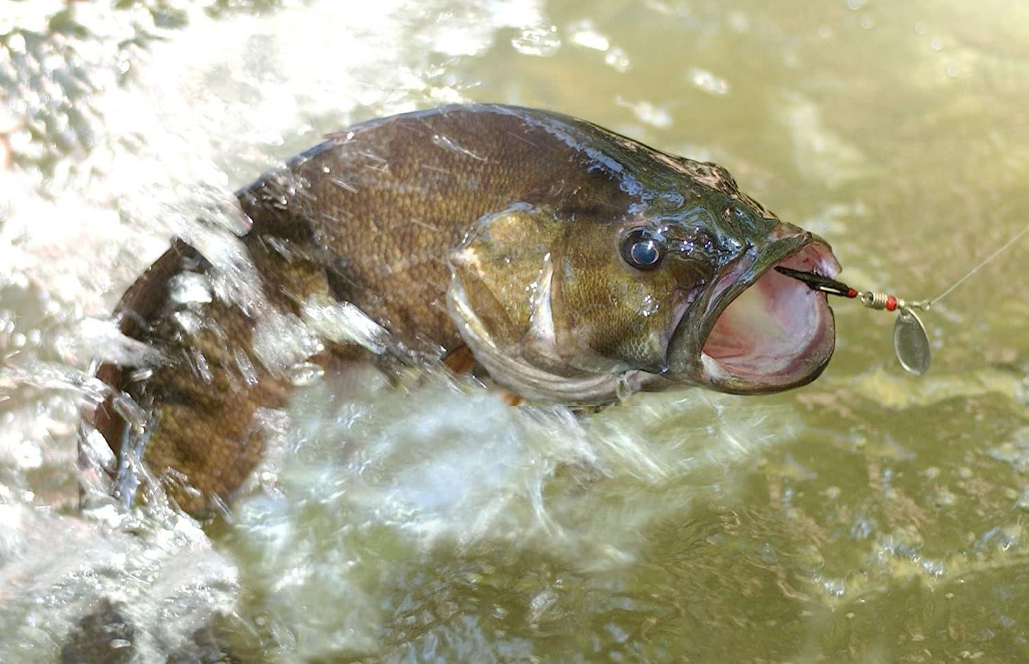 16pcs Fishing Lures Spinnerbaits Bass Trout Salmon Hard Metal
