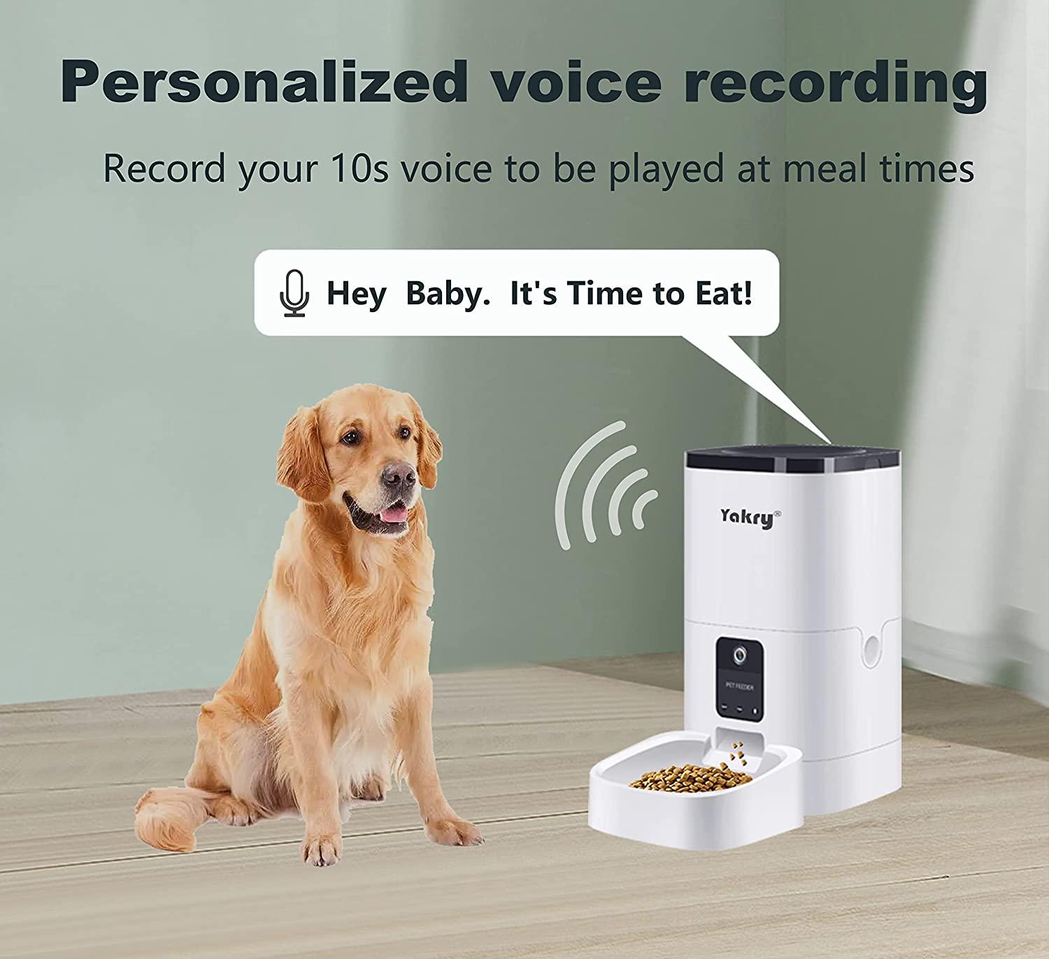 Wifienabled Iseebiz Dog Camera Automatic Treat Dispenser With
