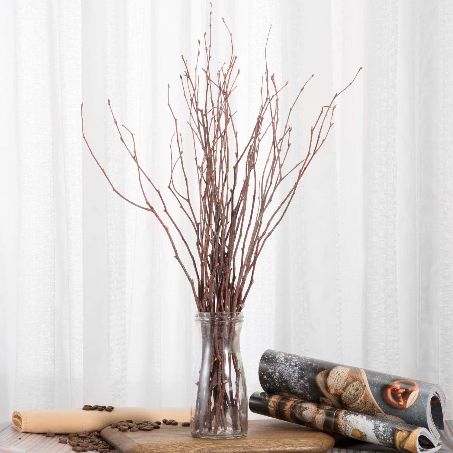 Uieke 50PCS Birch Twigs – 17 Inch Natural Dried Plants Decorative Birch  Branches for DIY Crafts, Birch Sticks for Vases Wedding Arrangements Home