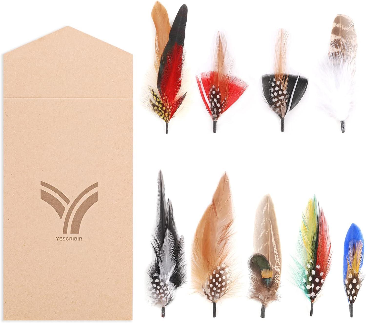 Hat Feathers, 10 Pcs Assorted Natural Feather Packs Accessories for Fedora,  Cowboy, Open Road, Borges, Scott, Trilby Hats (9 Pcs-3)