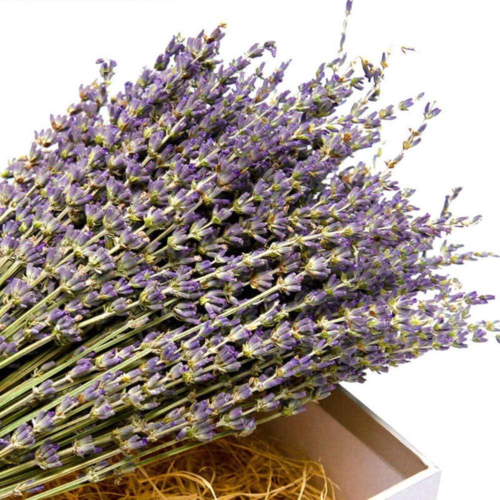 Dried Lavender Bunch Dried Lavender Bouquet Dried Lavender Flowers/ Dried  Lavender Lavender Bouquet Gift for Her Valentine's Day 