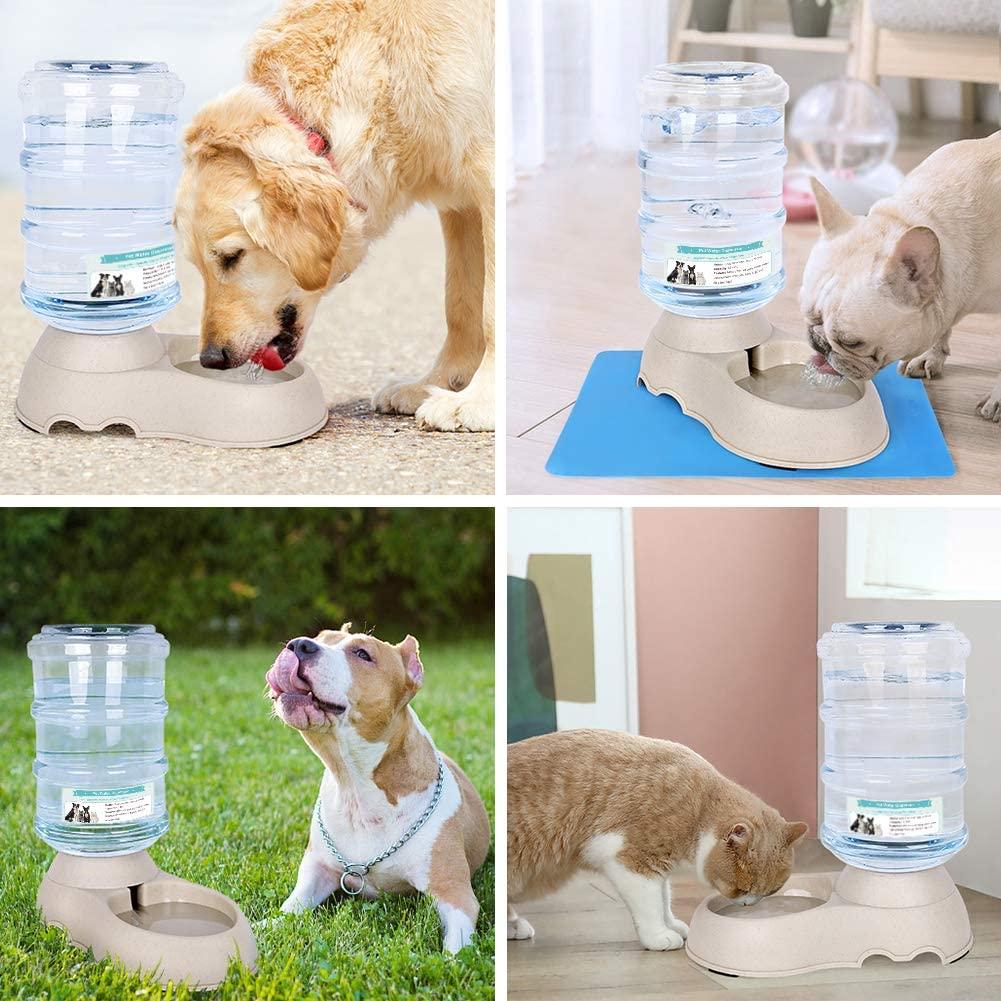 Pet Water Dispenser Automatic for Large Dogs Cats, BPA-Free, Gravity  Refill, Easily Clean, Self Feeding, Medium Large Dog Drinking Fountain - 3  Gallon