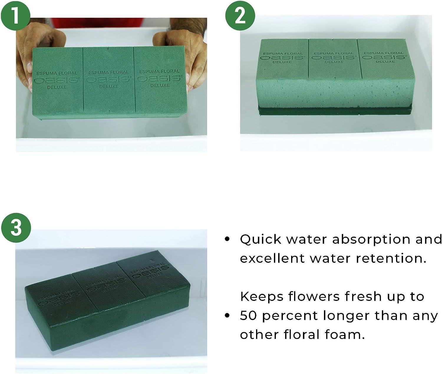 Oasis Smithers Floral Foam Deluxe - Foam Bricks - Craft Blocks - Foam for  Dry Flowers - Lightweight Green Foam - Florist Foam for Arrangements and  Decorations - 6 Pack