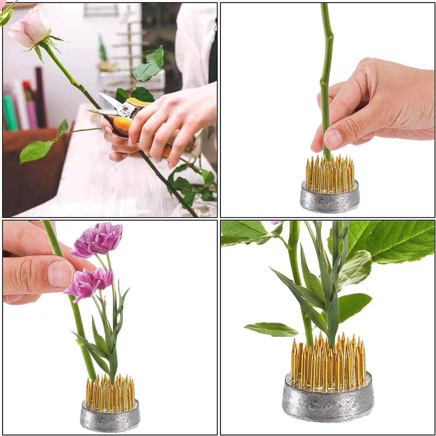  24 Pieces Flower Frogs for Arrangements Mini Round Flower  Arranger Flower Pin Holder Fixed Tools for Floral Plant Small Vase Ikebana  Decoration Supplies : Arts, Crafts & Sewing