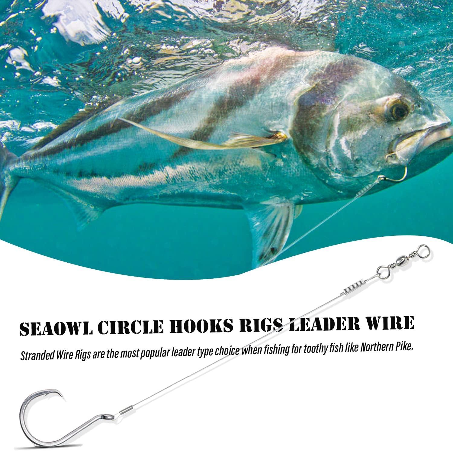 SEAOWL Fluorocarbon Fishing Leader,20LB-80LB Fluorocarbon Leaders for  Saltwater Freshwater,100% Fluorocarbon Leaders Line with S