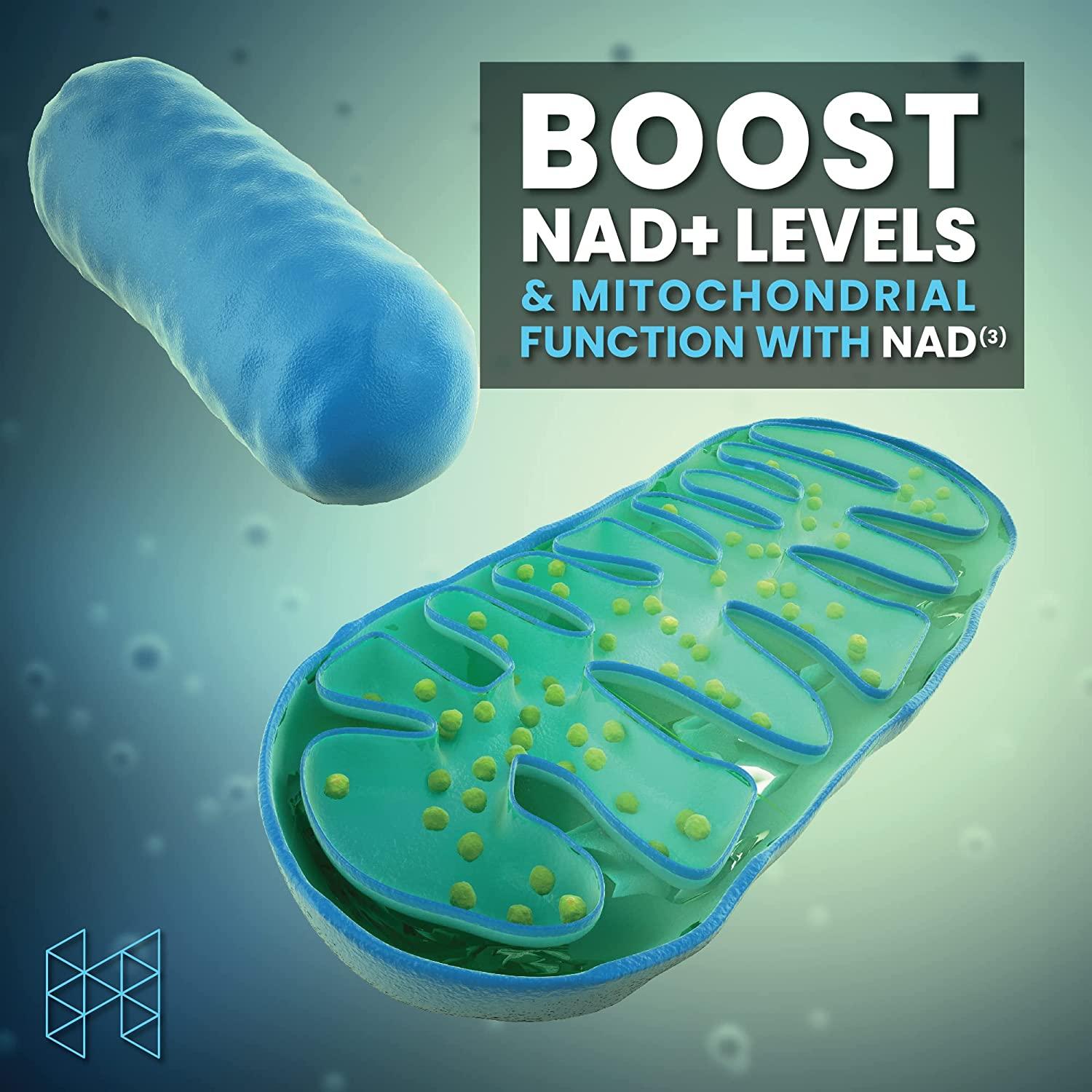 HPN Nutraceuticals社 NAD3 NAD+ Boosterサプリメント120粒