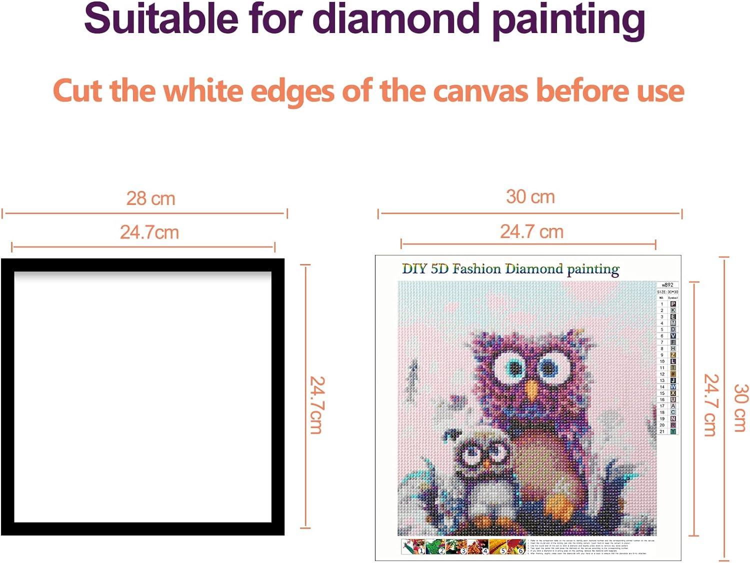 RICUVED 2 Pack Diamond Painting Frames Frames for Diamond Painting Pictures  30x30cm Canvas Size (Inner Size 24.5x24.5cm) Magnetic Frames Self-Adhesive  Diamond Art Frames for Wall Window Door Black