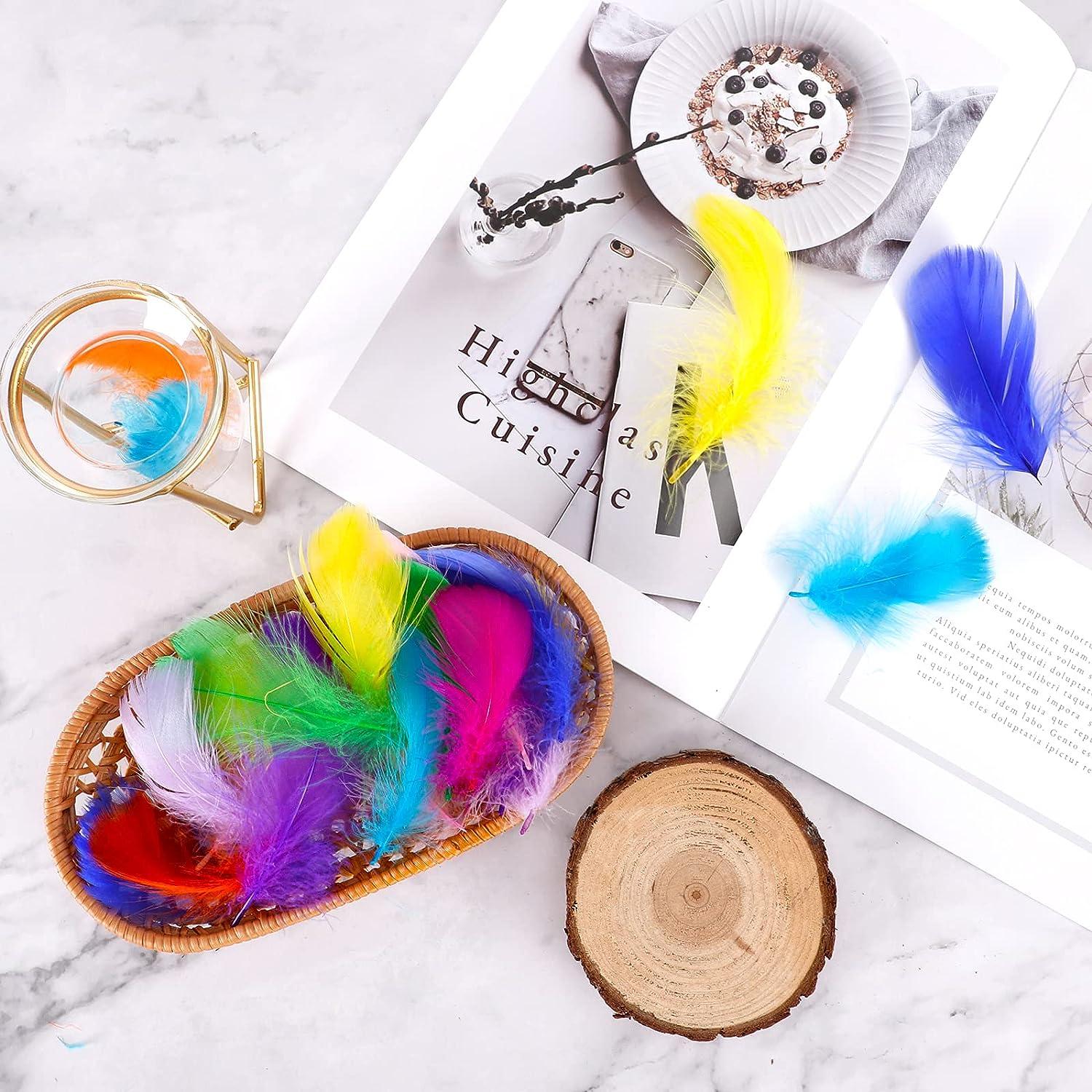 Colored Feathers For Crafting, 300pcs Craft Feathers For Kids