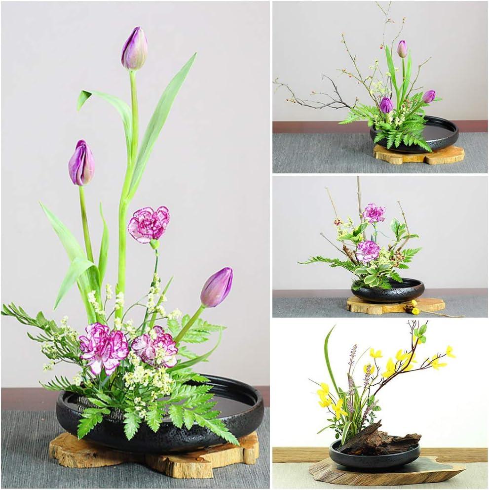 WANDIC Floral Arranging Vase, White Rectangle Photo Frame Shaped Plastic  Ikebana Vases & 5cm Rectangle Flower Frog for Ikebana Floral Arrangement  Art