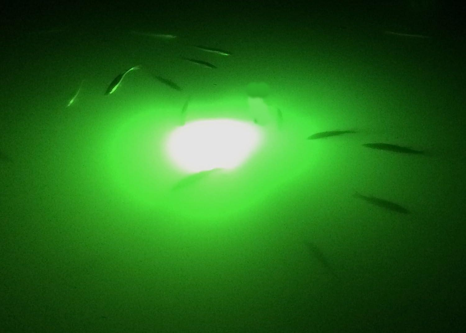 Fire Water Marine 12V 25 MAXX LED Green Underwater Submersible Night  Fishing Light 120 WATT -10,000 LUMENS: Crappie shad Squid Shrimp