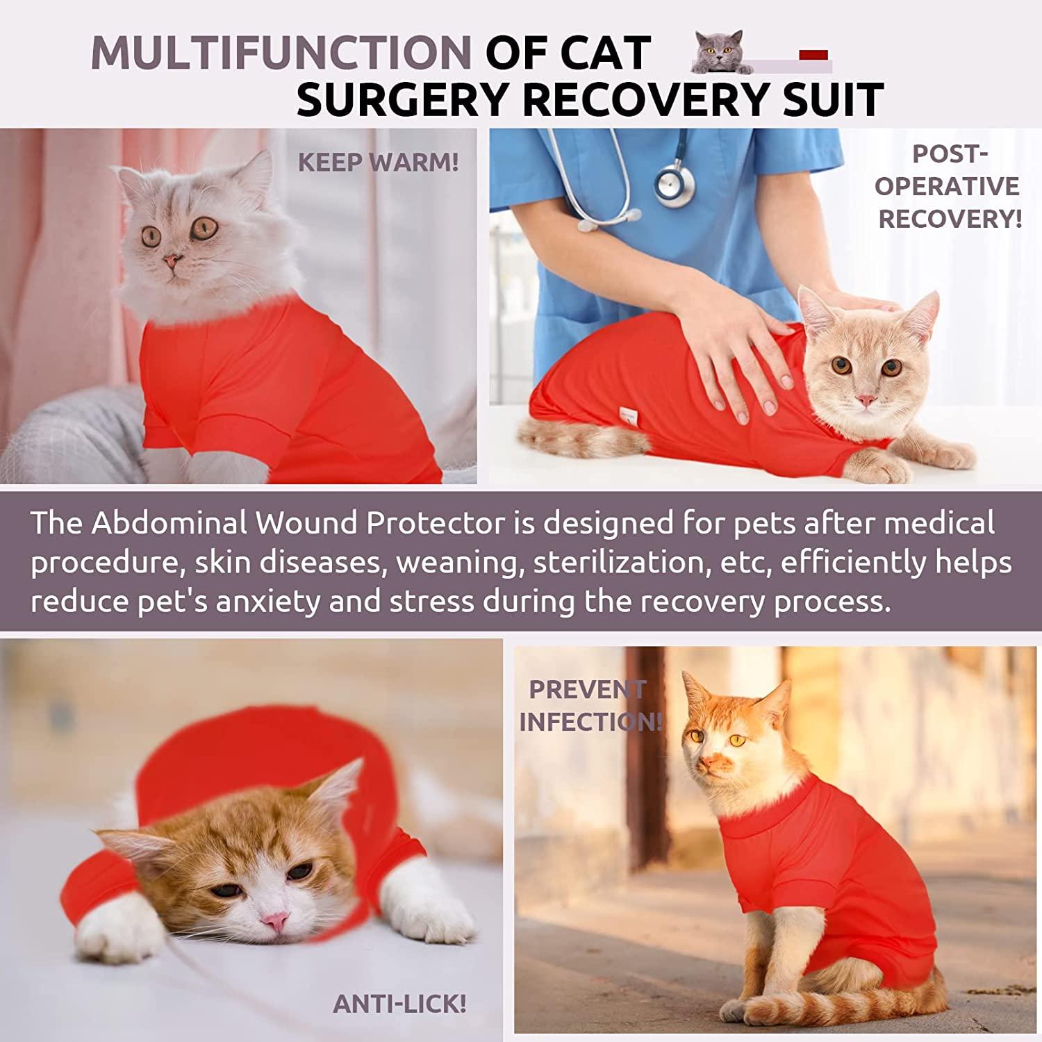 Girl Cat Recovery Suit Surgery Weaning Sterilization Care Anti-licking Coat