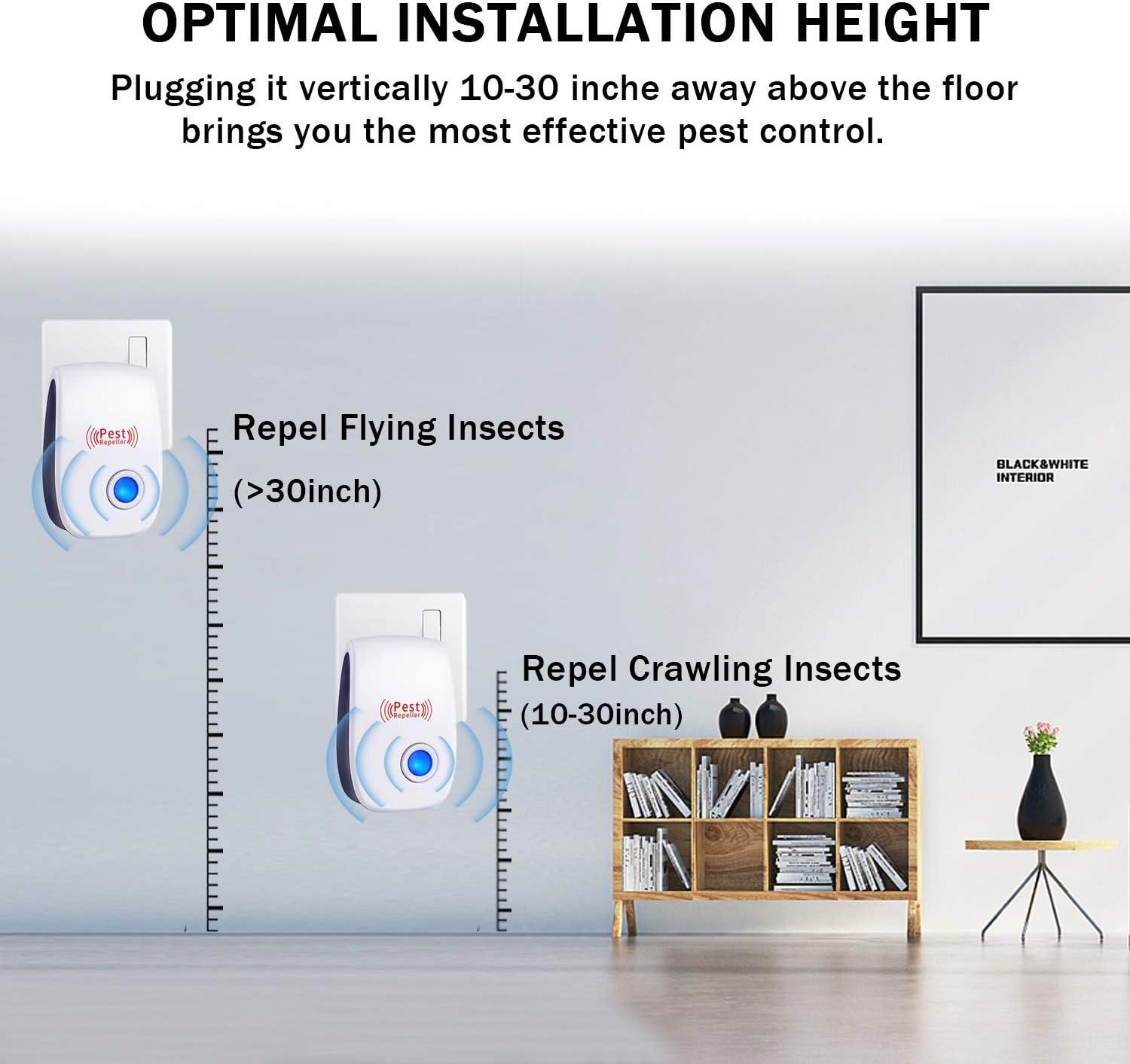 Mouse Trap Mice Trap That Work Human Power Mouse Killer Mouse Catcher Quick  Effective Sanitary 6Packs