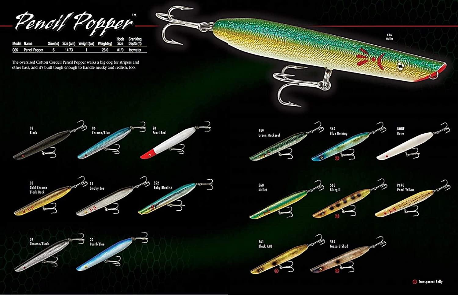 Cotton Cordell Pencil Popper Topwater Fishing Lure 6, 1 oz Pearl Red Head