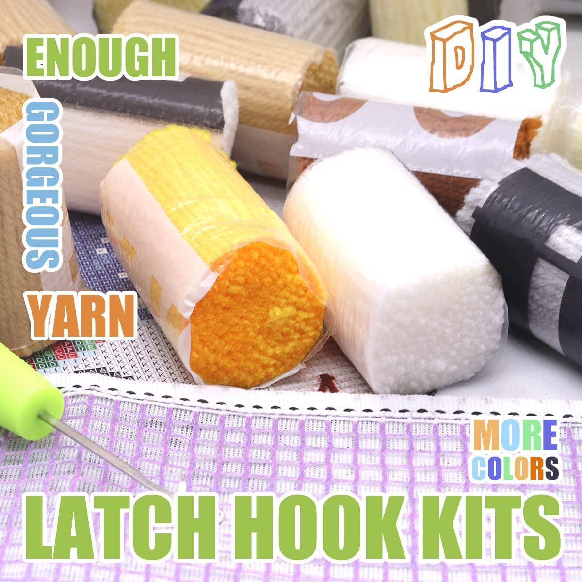 Lock Hook Rug Kit Lock Hook DIY Crochet Yarn Rug Craft Kit With Colorful  Preprinted Pattern Designs for Adult Kids 