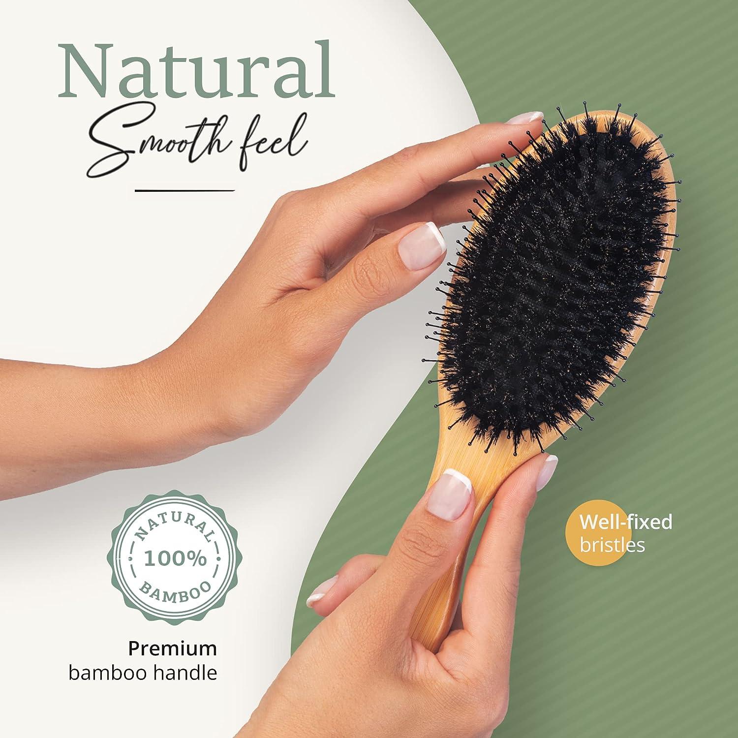 Belula 100% Boar Bristle Hair Brush Set. Soft Natural Bristles for Thin and  Fine Hair. Restore Shine And Texture. Wooden Comb, Travel Bag and Spa  Headband Included!