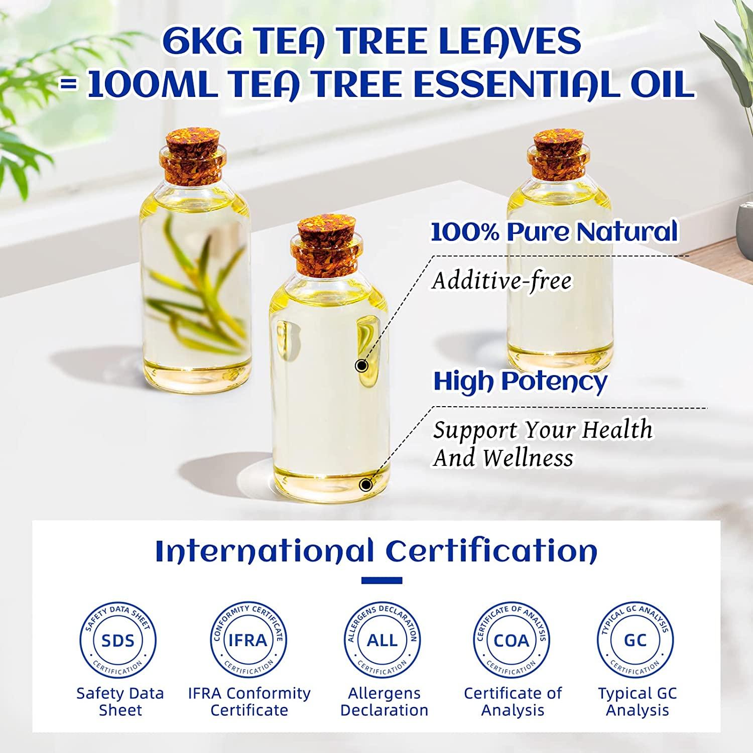 Organic Essential Oils 10 Set Premium Grade Fragrance Diffuser Massage Essential  Oil for Candle Making - China Organic Essential Oils and Essential Oil  Perfume price