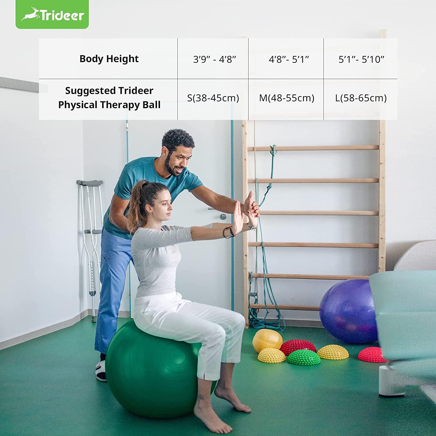 Trideer Exercise Ball for Physical Therapy Swiss Ball Physio Ball for Rehab Exercises  Workout Fitness Ball for Core Strength Yoga Ball for Balance Flexibility L  (23-26ines 58-65cm) Green