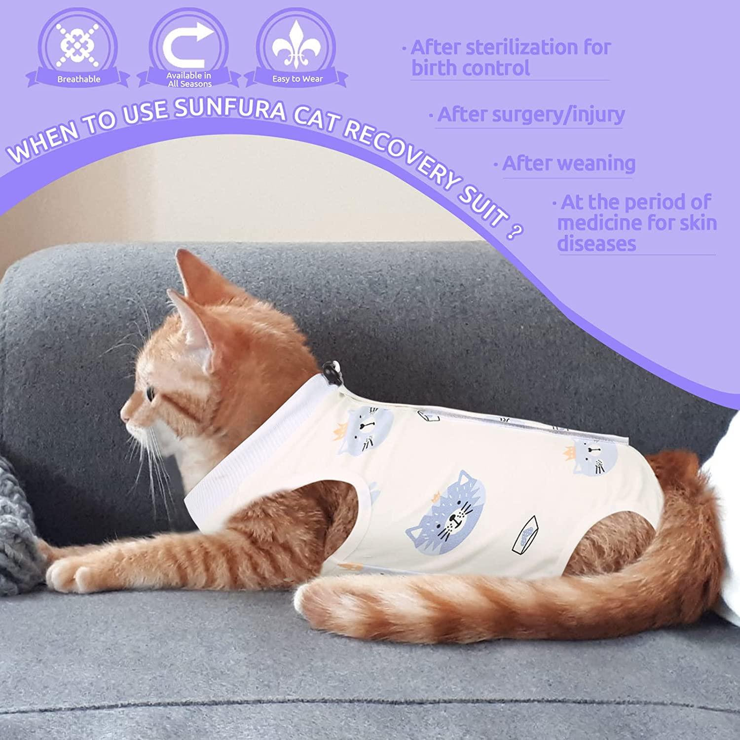 Dog Recovery Suit Abdominal Wound Puppy Surgical Clothes Post-Operative  Vest Pet After Surgery Wear Substitute E-Collar & Cone (M, Grey) :  : Pet Supplies