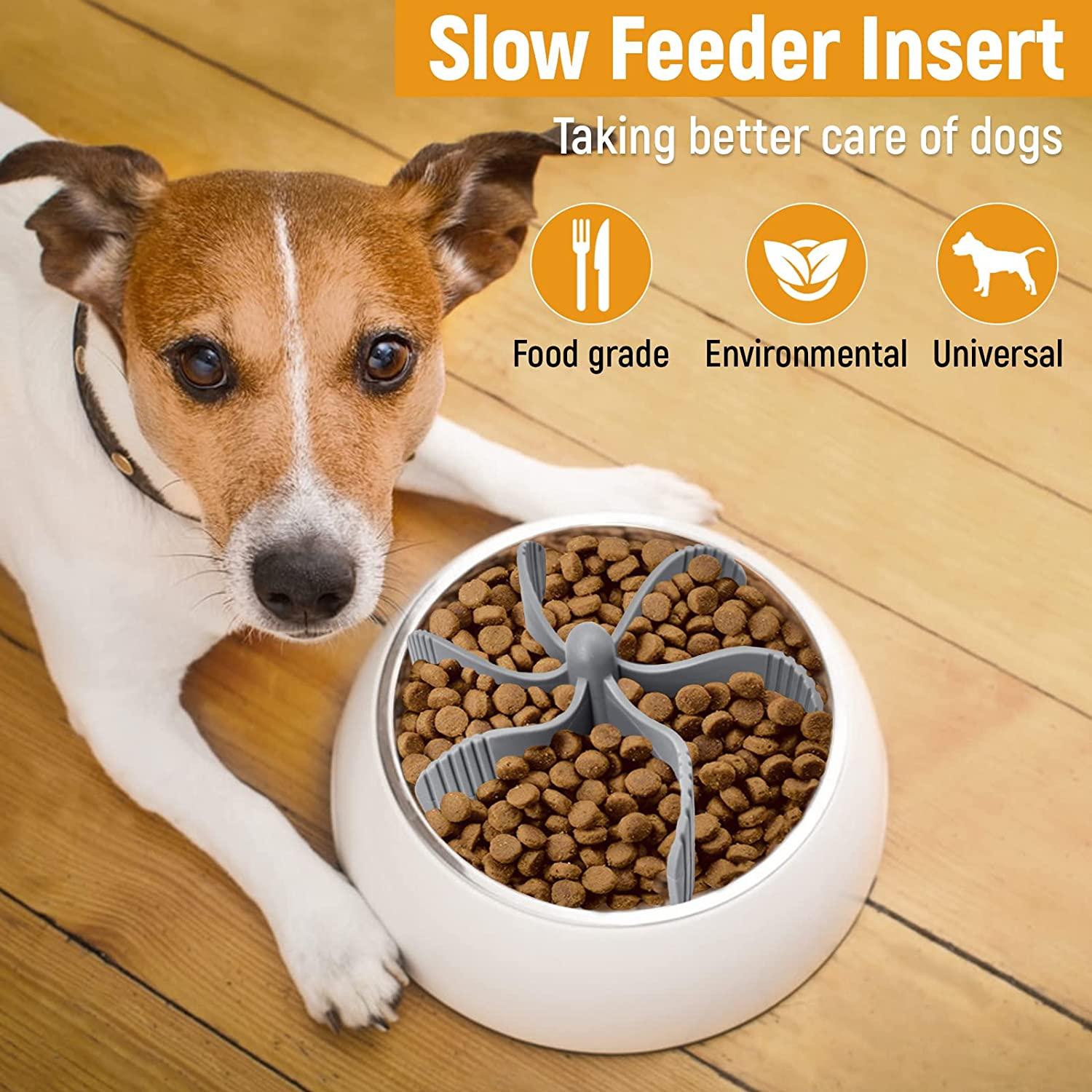 Custom Insert Slow Feeder Dog Bowl 