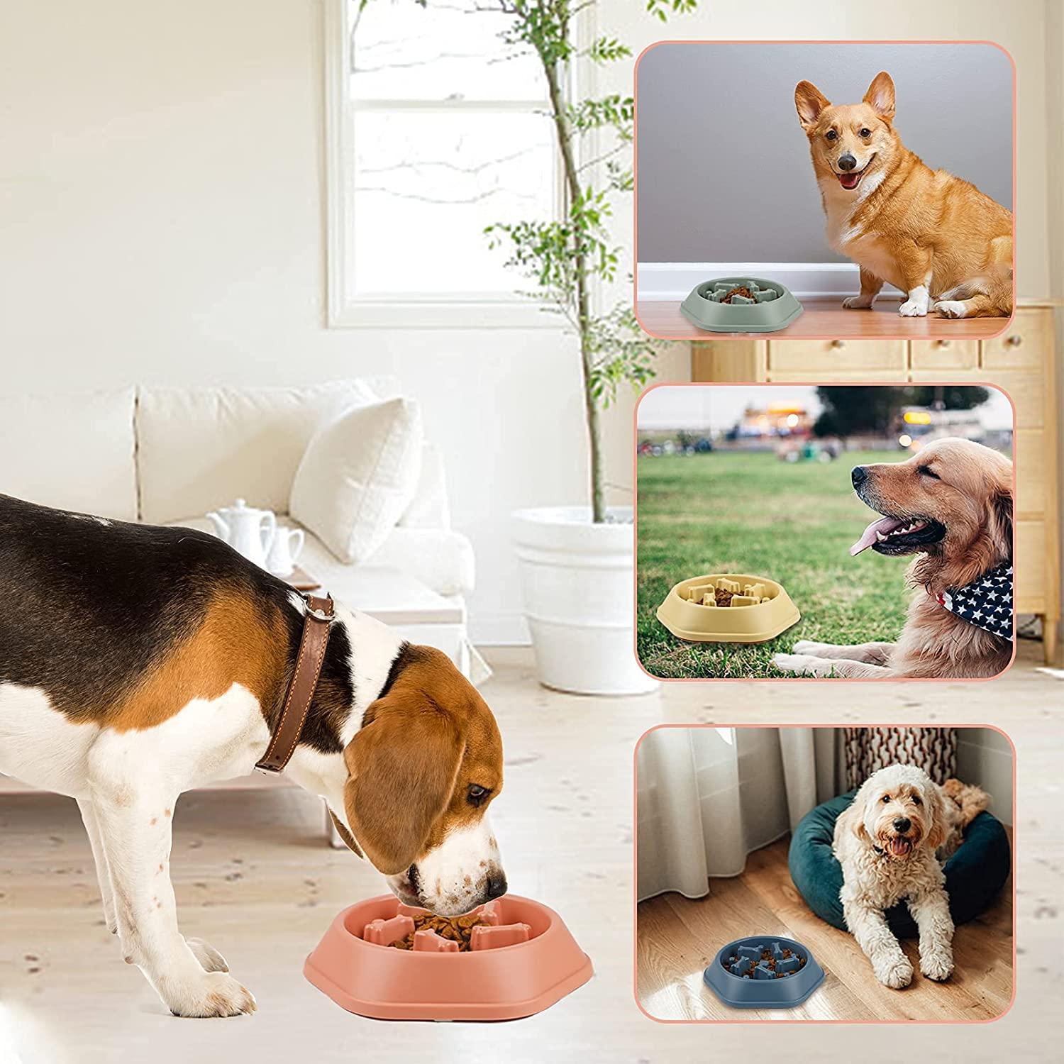 Slow Feeder Dog Bowl, Puzzle Dog Food Bowl Anti-Gulping Interactive Dog  Bowl and Water Dog Bowl for Small/Medium Sized Dogs