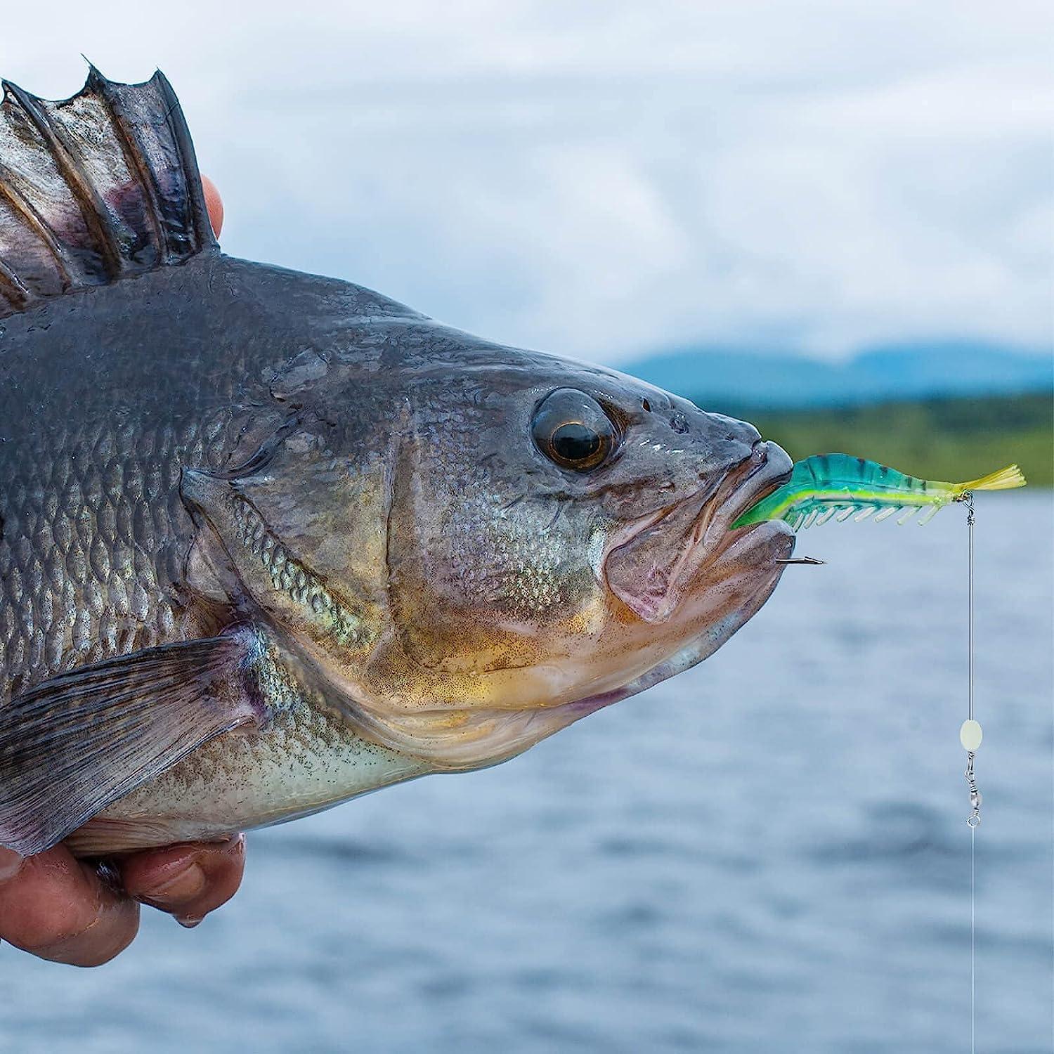 10Pcs Shrimp Bait Set, Soft Fishing Lures Tackle with Luminous Hooks for  Freshwater Saltwater