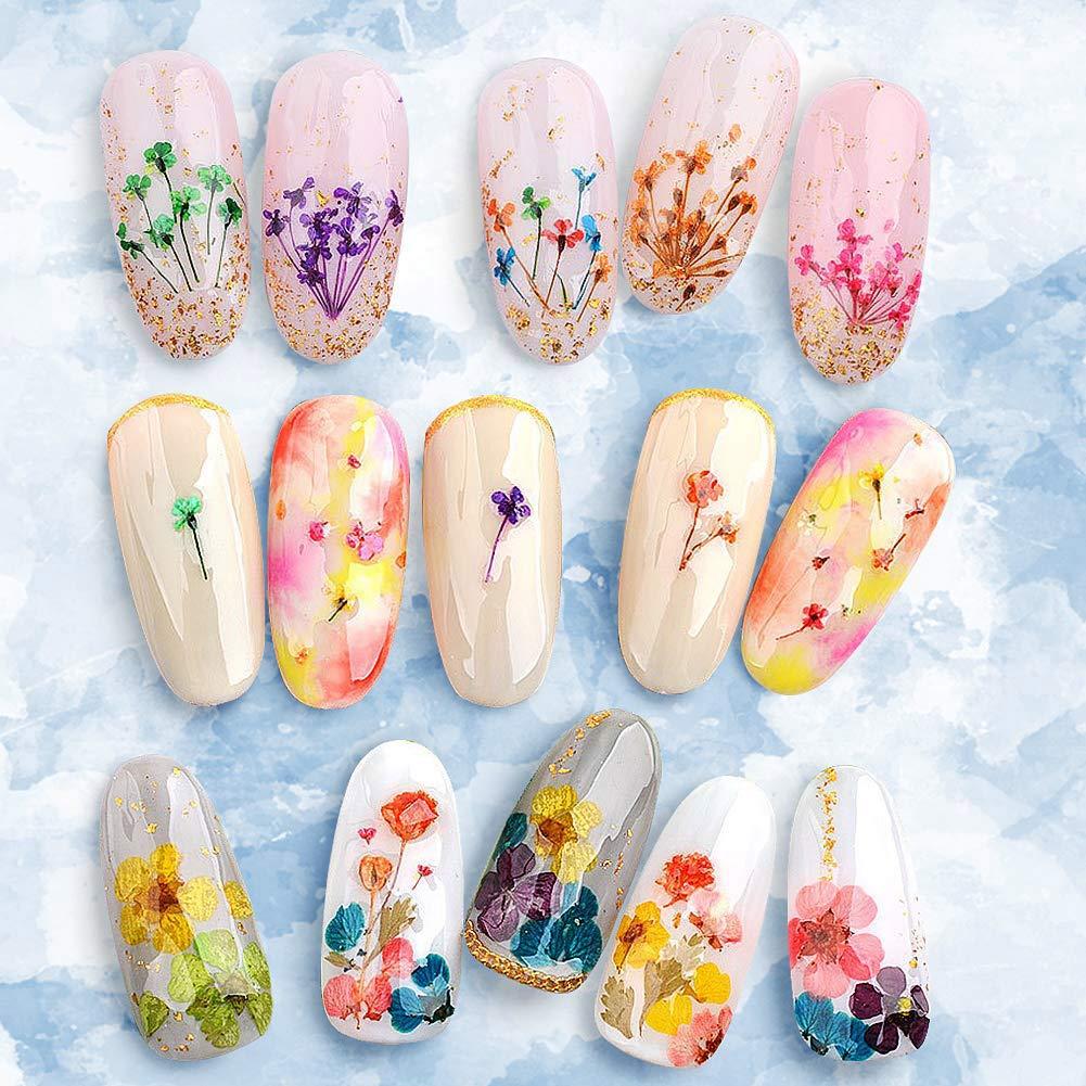 108PCS Dried Flowers for Nail Art - 33 Color Lovely Natural Flower Nail  Art, 2 Color Foil Nail Art, Nail Art Accessories Kits, Dried Flowers for  Resin Molds, YWLI (Dried Flowers + Foil)