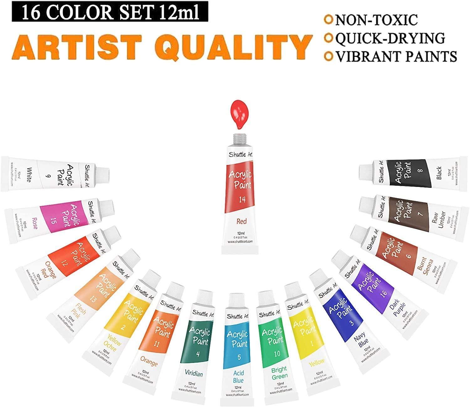  Shuttle Art Acrylic Paint Set, 30 x12ml Tubes Artist Quality  Non Toxic Rich Pigments Colors Great for Kids Adults Professional Painting  on Rocks Canvas Wood Clay Fabric Ceramic Crafts : Arts
