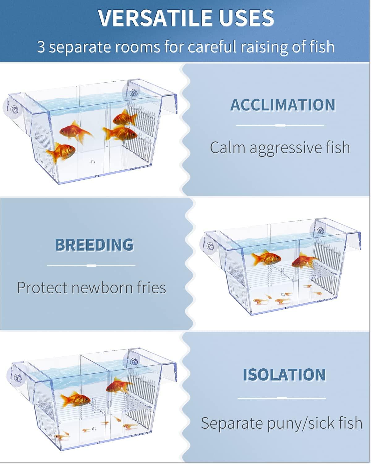Pawfly Fish Breeding Box Tank Hatchery Incubator Aquarium