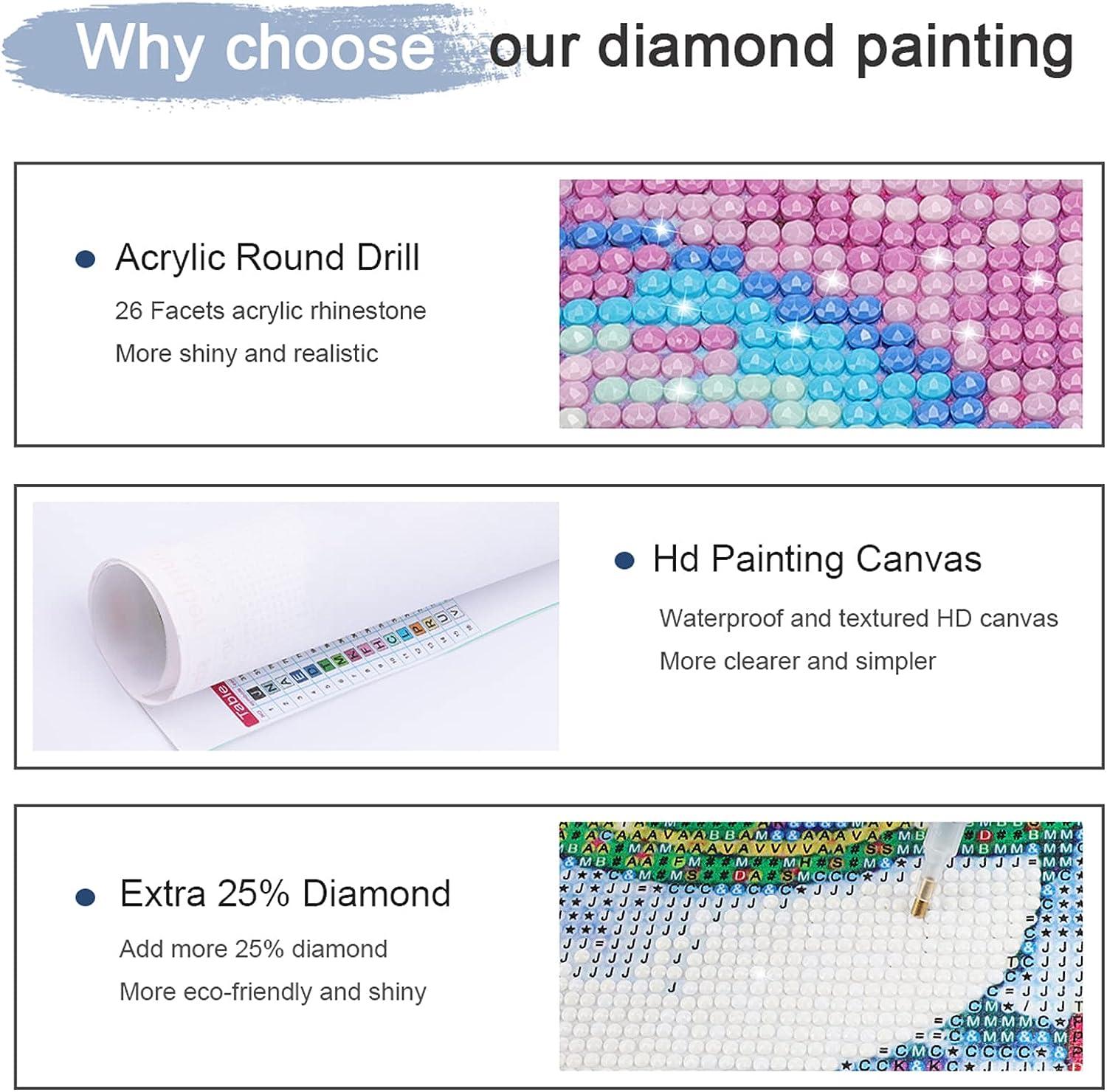 Diamond Arts 3d Diamond 5D DIY Personalized Creative Diamond Art Canvas  Young Adult Crafts for Women Diamond Dots Kitchen 